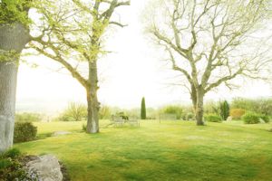 Wellness-Park im Wellnesshotel Adler Thermae, Toskana, Italien