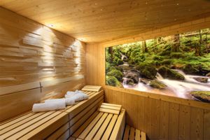 Wellnesshotel Gr�ner Wald - Sauna