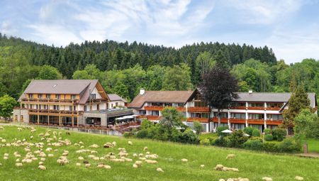 Wellnesshotel Gr�ner Wald - Hotelansicht
