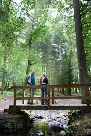 Wellnesshotel Heinz in H�hr-Grenzhausen - Wellness und Wandern